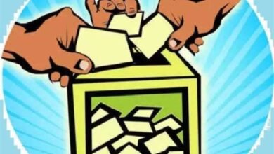 election