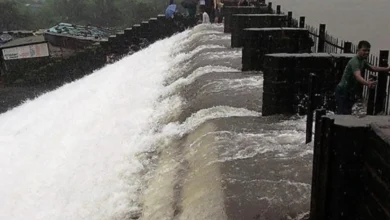 bhushi dam