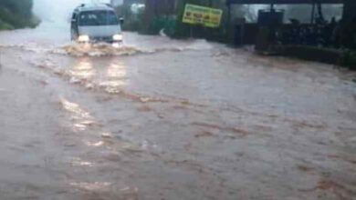 satara venna