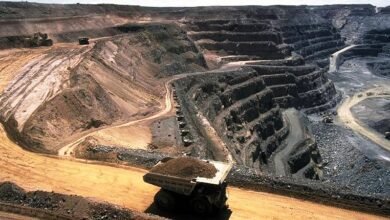 Goa Mining Lease