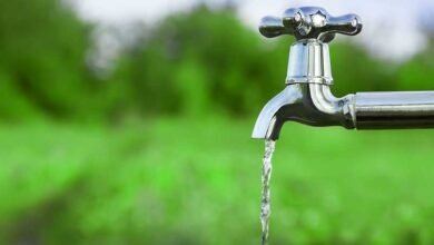 tap water
