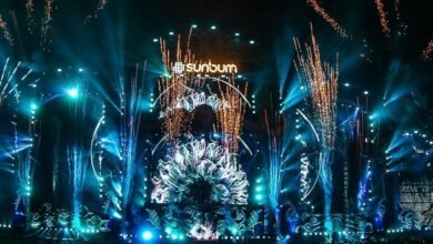 Sunburn-Goa