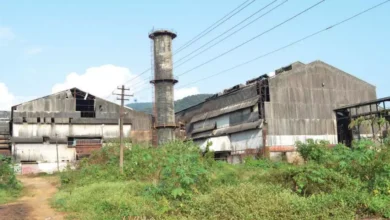 sanjivani sugar factory goa