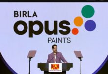 Birla Opus paint