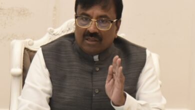 'Sudhir Mungantiwar has been made a scapegoat'