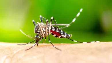 godrej-introduced-the-first-indigenous-mosquito-control-molecule