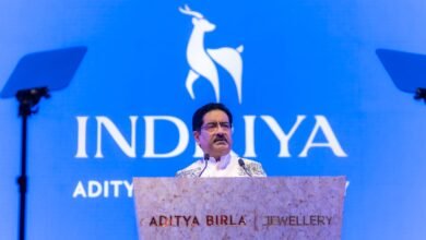 Aditya Birla group forays into jewellery retail with 'Indriya'