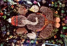 goa ganesh chaturthi matoli news
