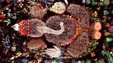 goa ganesh chaturthi matoli news