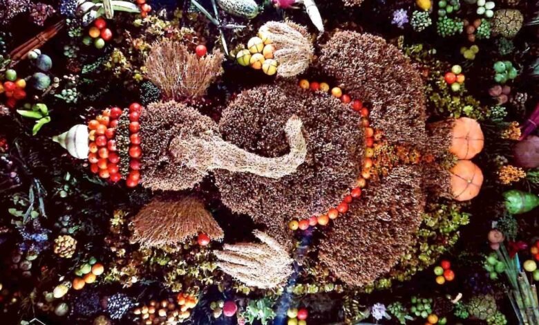 goa ganesh chaturthi matoli news